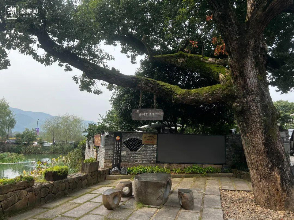 全國各地的游客、考察團(tuán)絡(luò)繹不絕，浙江這個村里藏著什么法寶？